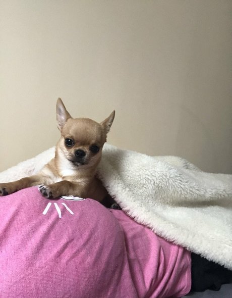 Pchan 666 pornstar top photos