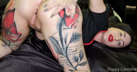 poppycarminexxx nudes pornstar gallery