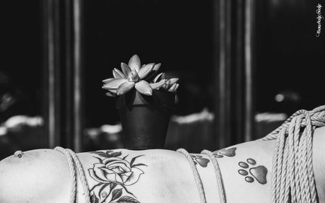 snaccs1zed nude pornstar gallery