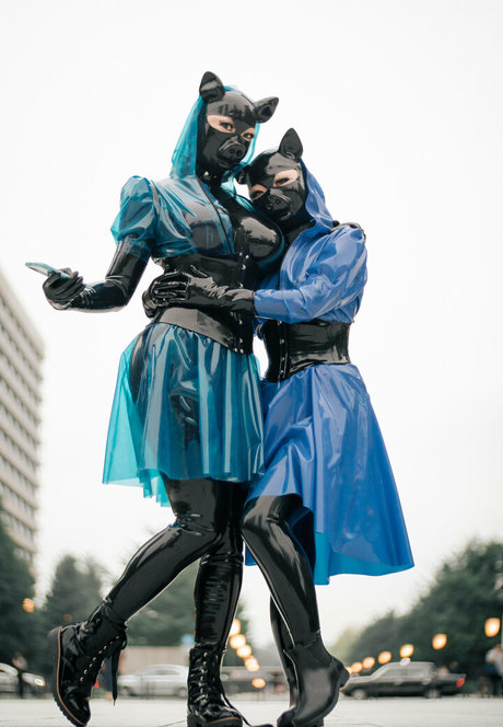 makoshiki star high quality image