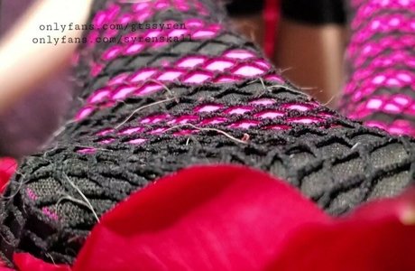 gtssyren nice pornstar galleries