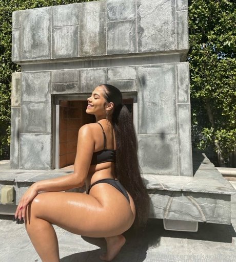 erikajohnson beautiful star galleries