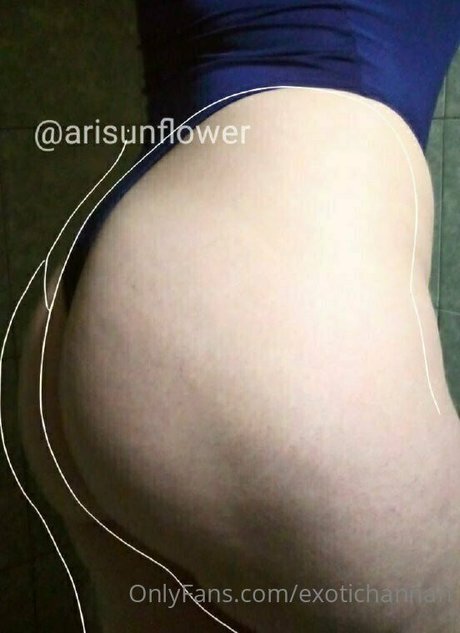 exotichannah beautiful model image