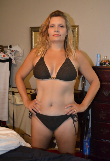 Bear Flickr star art pic