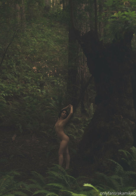 akamikebphoto perfect star photos