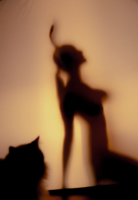 kokorosapphire model adult galleries