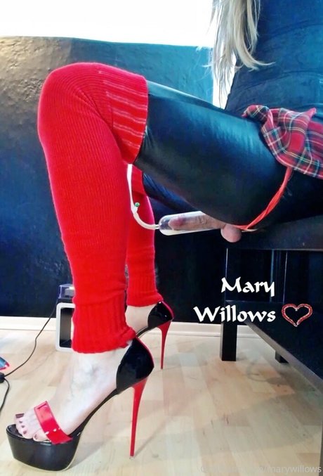 marywillows porn model galleries