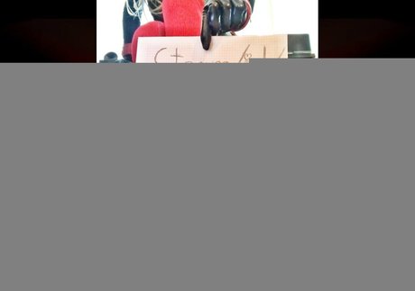 marywillows star hd photo