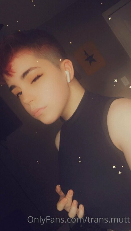 trans mutt porn actress image