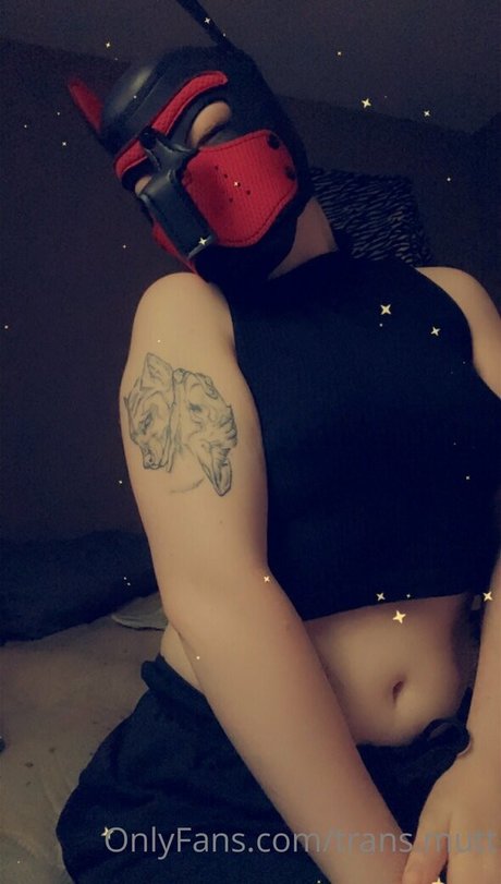 trans mutt perfect pornstar img