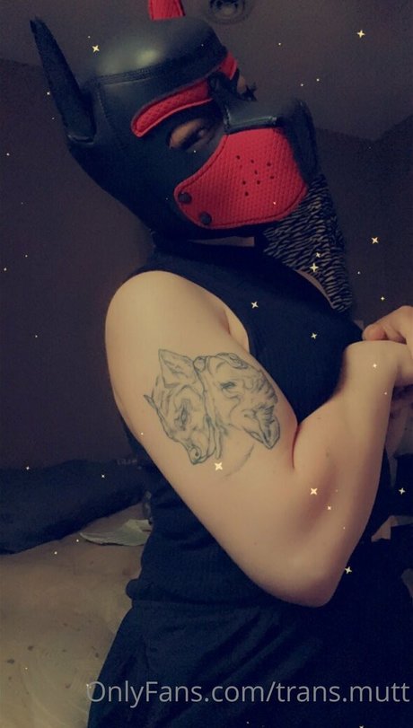 trans mutt top model pics