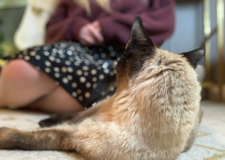 tanned onlyfans hot nude pic