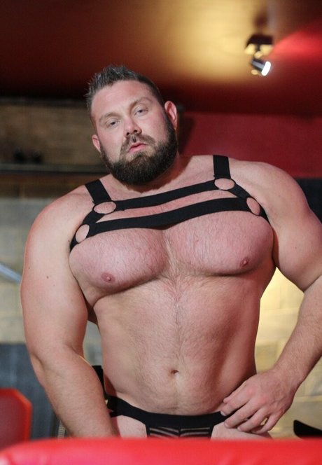 hugeandhung art pornstar gallery