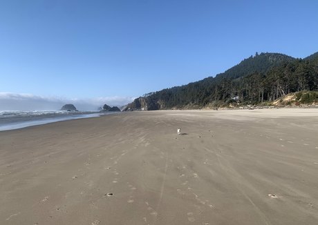 auroraarose xo pornstar art pics