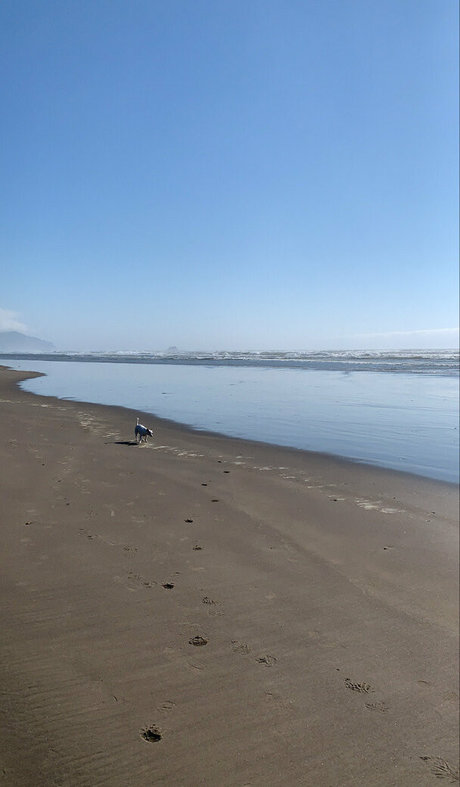 auroraarose xo pornstar top photos