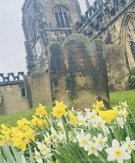 fitness body onlyfans adult galleries