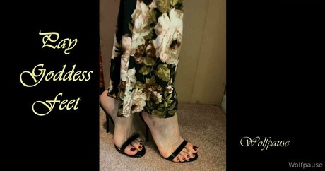 wolfpause star exclusive photos