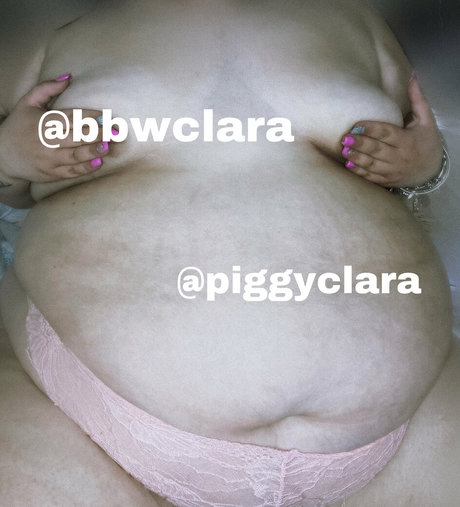 piggyclara star perfect gallery