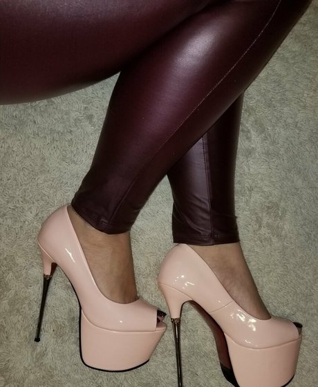 Dani Lee model adult galleries