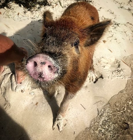 milf dp onlyfans free xxx pics