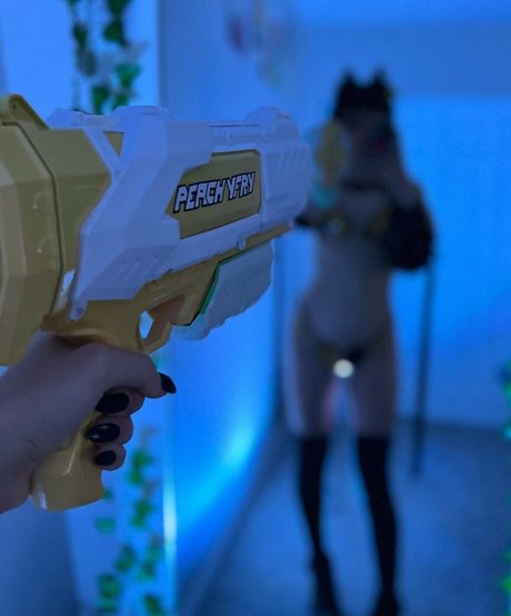 PeachyFry high quality model image