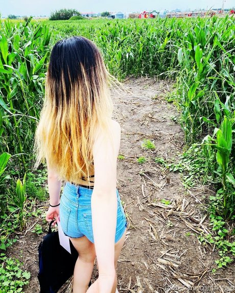 oddeilem top pornstar photo