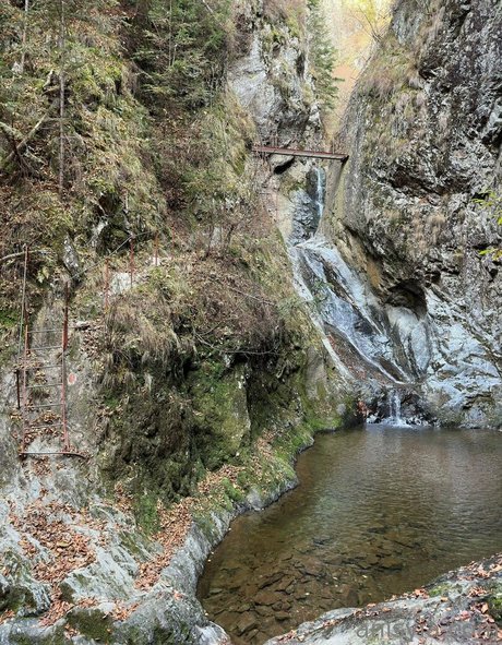 mommy son onlyfans free sexy pics