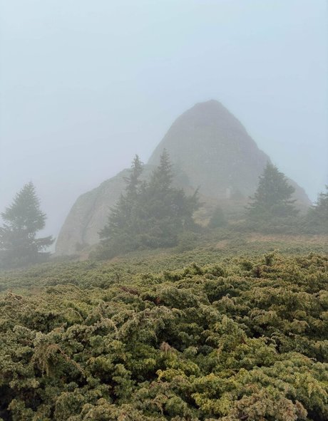 Anisyia_ Profile pic