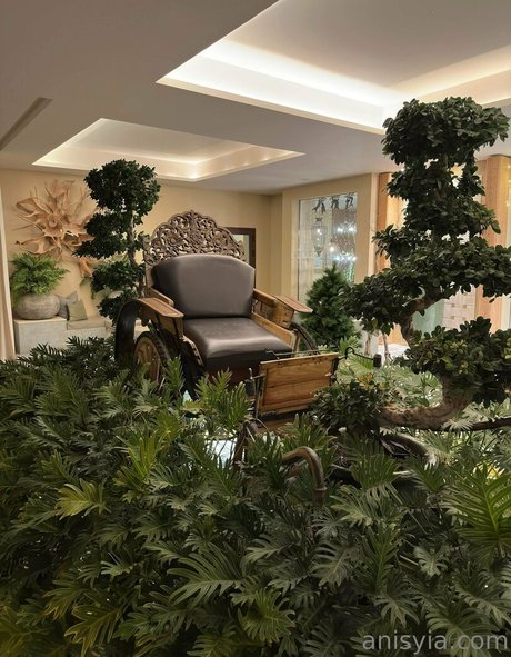 Anisyia_ sexy star photo