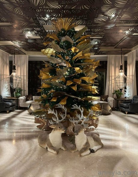 Anisyia_ model xxx gallery