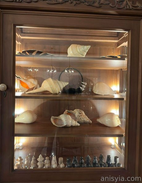 Anisyia_ star adult archive