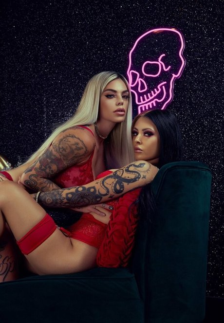 Vipress model best img