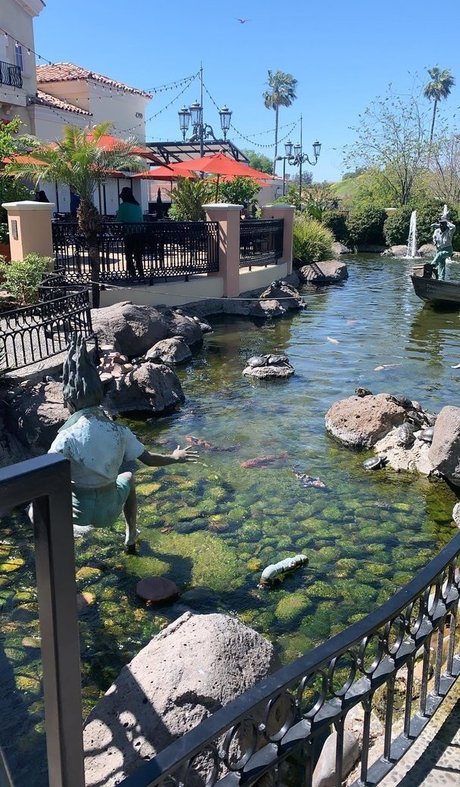 anal bbw onlyfans sex picture