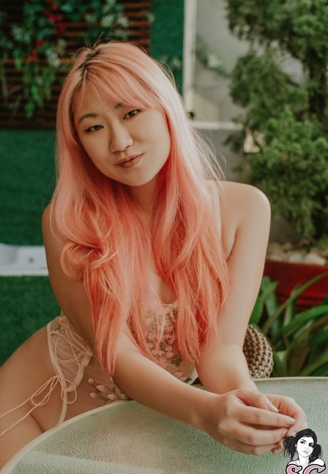 ayaska free star picture