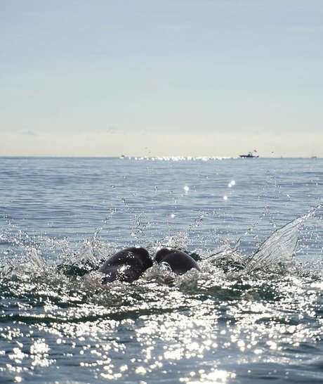 Casi Davies free actress photos