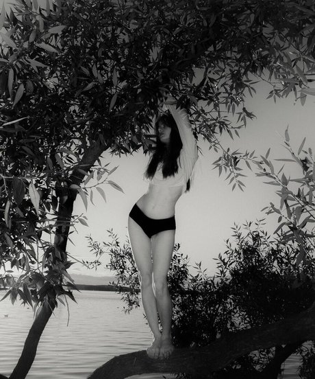 Tovpinets3 free star images