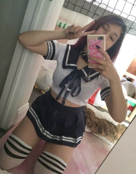 Seafoam Kitten Asmr nice star pictures