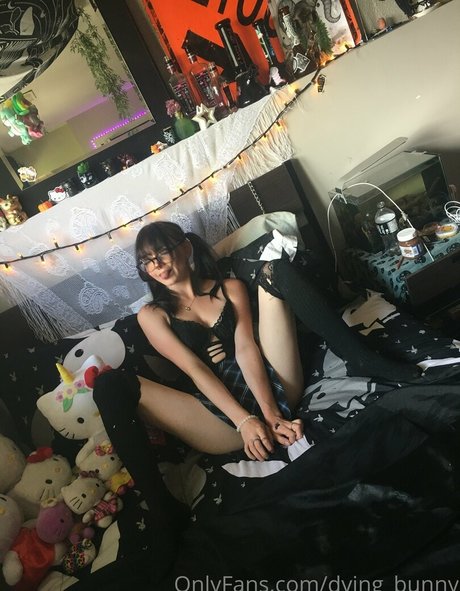 Dying bunny pornographic actress picture