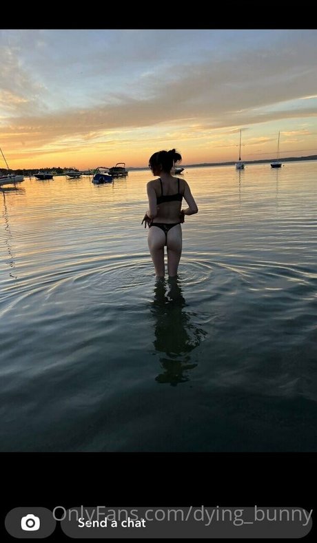 Dying bunny xxx star galleries