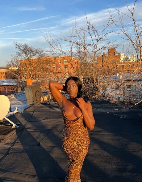 bribriann6722 star free galleries