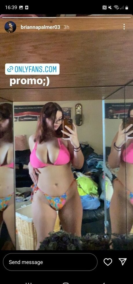 Bripalmer star xxx img