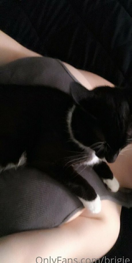 Brigitaitken erotic pornstar pictures