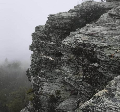 Elsalmorton model adult pictures