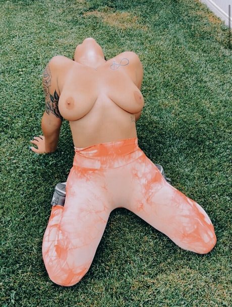 casxo star adult gallery