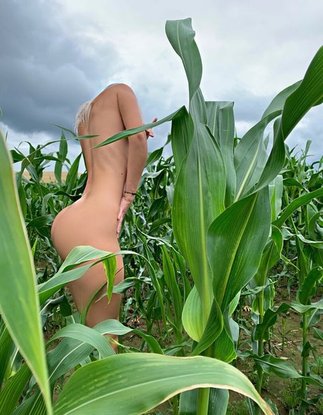 Popa popa sex actress images