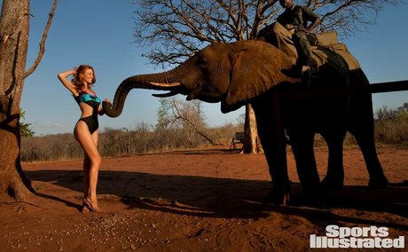 Cinthia Dicker star free img