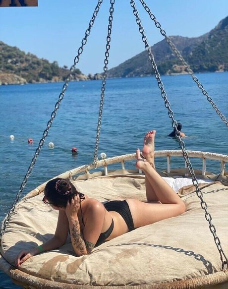 palmoliff star art picture