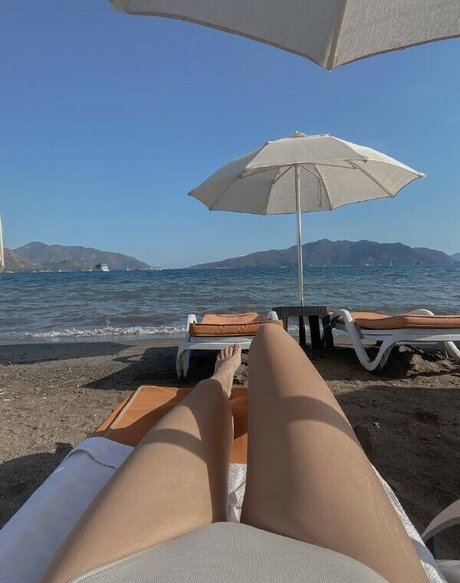 palmoliff star best pic