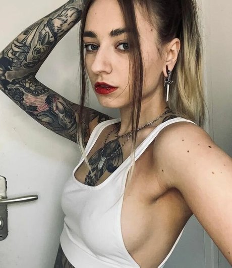 pandatylr star best archive