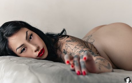 Repasquinelli high quality pornstar photo